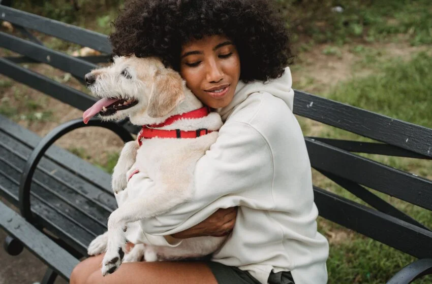  Pets do bem: te ajudando na ansiedade